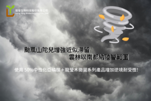 Read more about the article 颱風山陀兒轉強颱 ! 雲林以南都納陸警範圍